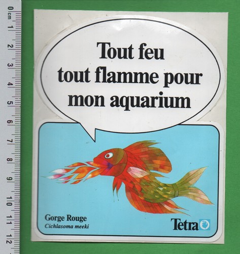 Tetra gorge rouge - ☀,