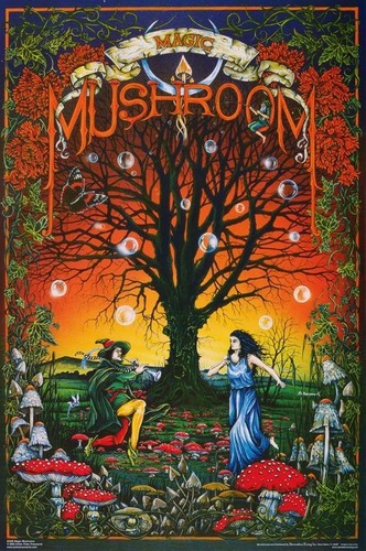 Magic champignon danse - magic,