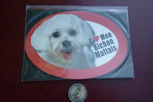 Grand magnet chien - grand,