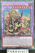 Carte YU-GI-OH! AMAZONESS PET