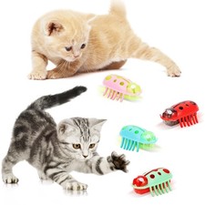 Mini Jouet pour Chat