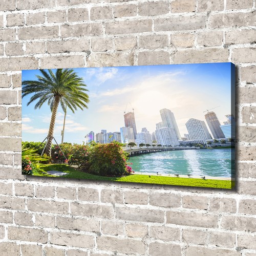 Tulup image sur - sur, tableau