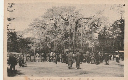 Japon parc maruyama de - parc,