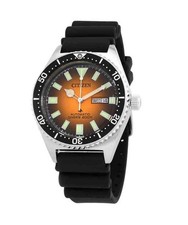 Montre Pour des hommes Citizen