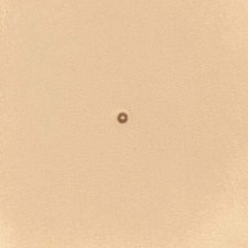 Matoir sur manche TANDY