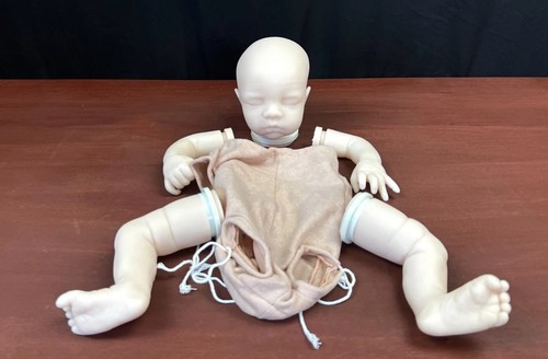 Bountiful baby reborn - doll, kit