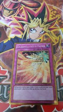 Yu-Gi-Oh! Un Souffle d'Aile de Phoenix PGLD-FR070 Gold Française/wing wind blast