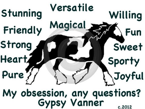 Gypsy vanner cob horse - gypsy,