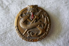 insigne Commando OURAGAN indochine (commando Dinassaut) PATMAR SUD