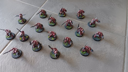 Chevalier gris grey knight - chevalier, /