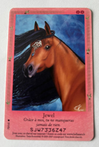 C19 carte bella - c19/, sara