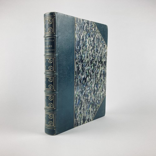 Dumas fils dame aux - fils,