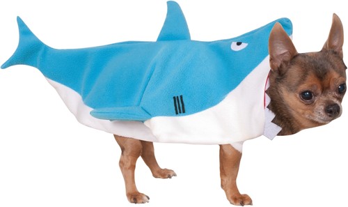 Costume officiel chien - , requin