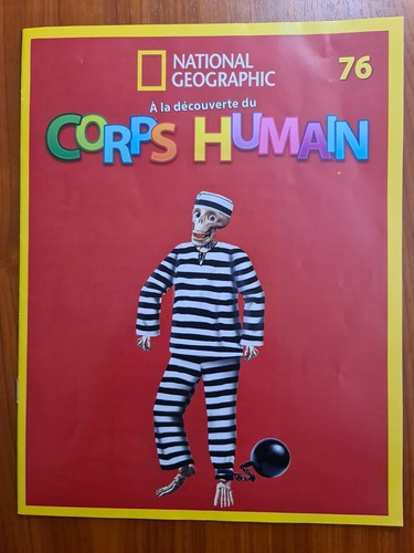 Découverte du corps - a,