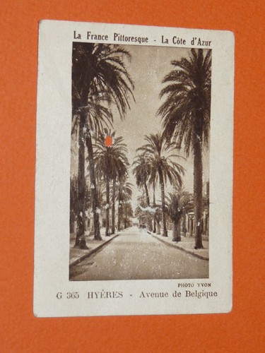 Image 1932 vache qui rit - vache,