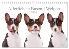 Chiots Basenji 2026 très aimés (Calendrier mural 2026 DIN A4 horizontal), CALVEN