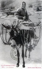 CPA 65  LES PYRENEES Une Faneuse  ( GROS PLAN