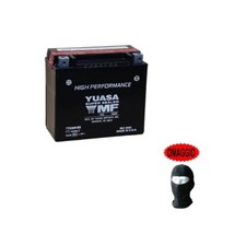 Pour Harley Davidson XLCR Cafe