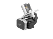 BorgWarner (Wahler) vanne EGR