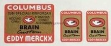 Columbus Brain Custom Eddy