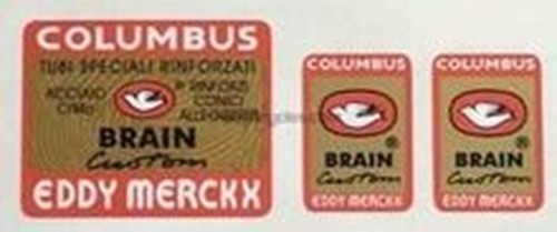 Columbus brain custom eddy - columbus,