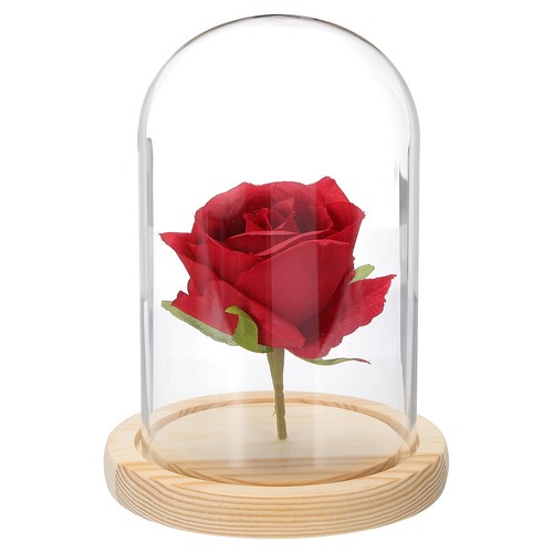 Dôme verre pour - verre, vitrine