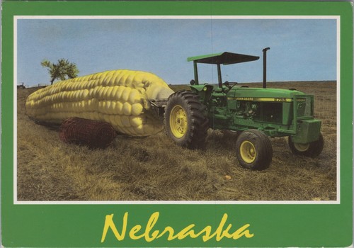 1995 exaggeration ear corn - exaggeration,