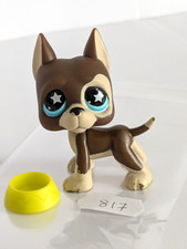 Petshop Chien Dog Argentin 817