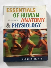 Essentials of Human Anatomy