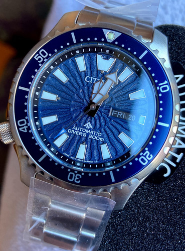 Citizen promaster automatic - promaster,