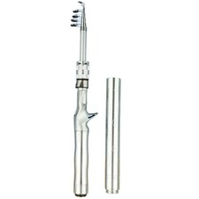 Canne à Pêche Portable