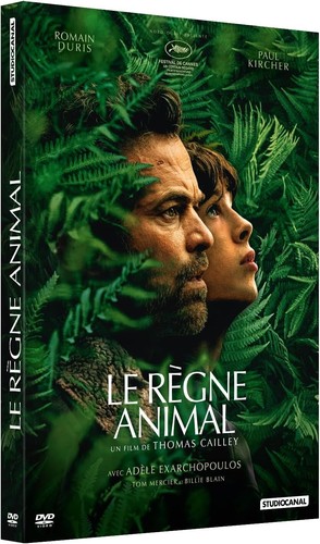 Dvd regne animal - dvd,
