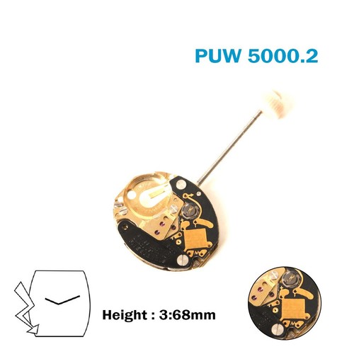 Mouvement suisse puw - 5000, 2t