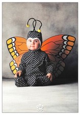 Carte postale Tom Arma BÉBÉ format cpm (papillon)