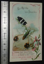 CHROMO 1899-1910 CHOCOLAT AIGUEBELLE DROME MONDE DES INSECTES CERCOPIS DIACTOR