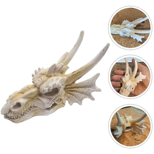 Crâne dinosaure simulé - crâne, de