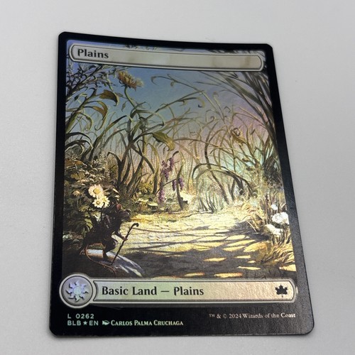 Mtg plains - mtg, 262)