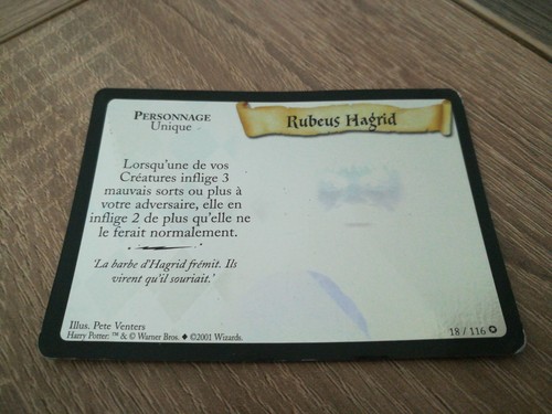 Harry potter carte rubeus - harry,