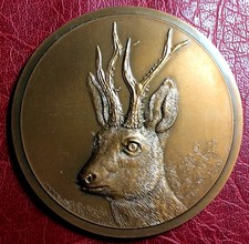 Cerf en forêt, rare grande