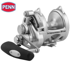 Moulinet conventionnel 2 vitesses PENN Saltwater International VI 30VISX Silver
