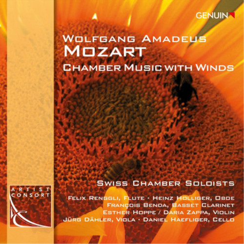 Wolfgang amadeus mozart - wolfgang,