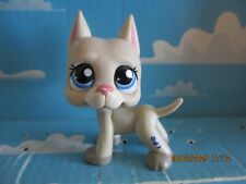 PETSHOP CHIEN DOGUE ARGENTIN