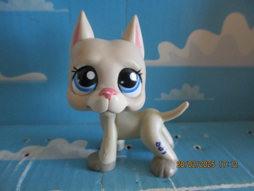 Petshop chien dogue argentin - dogue,