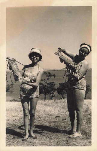 Ancienne photographie - ancienne,