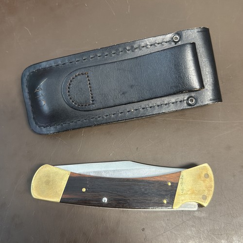 Buck usa 110 lockback - usa,