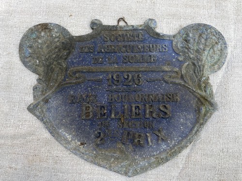Grande plaque concours - plaque,