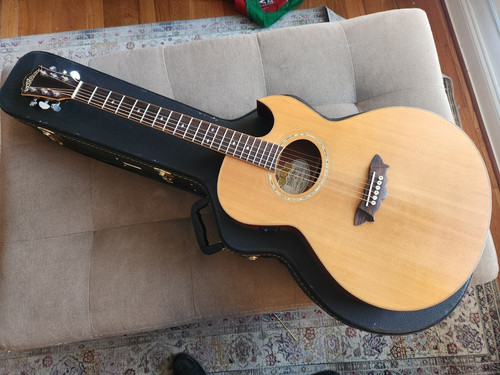 2006 washburn ea52swce - 2006,