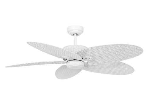 Ventilateur plafond avec
