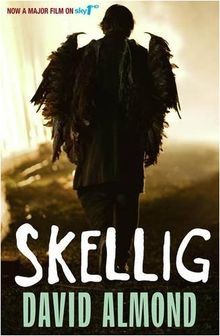 Skellig david almond - de,