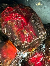 minéraux : Ambre. brute